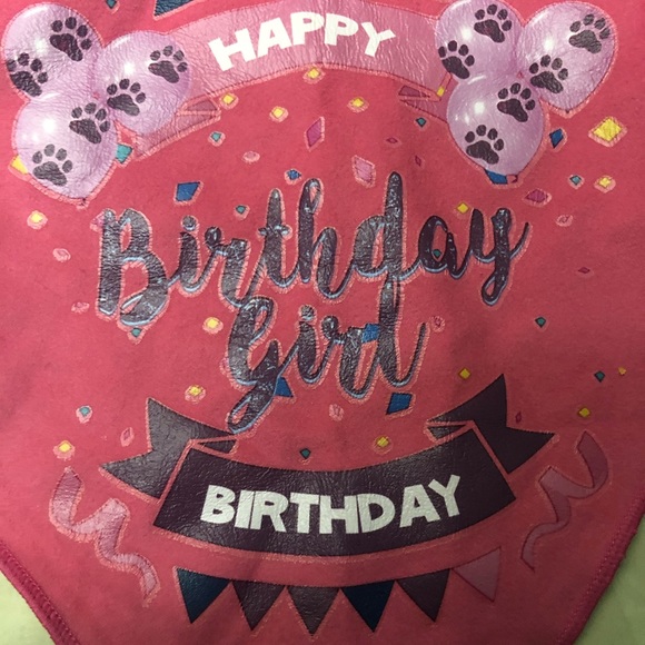 Cute Female Dog Birthday Set - Picture 7 of 8